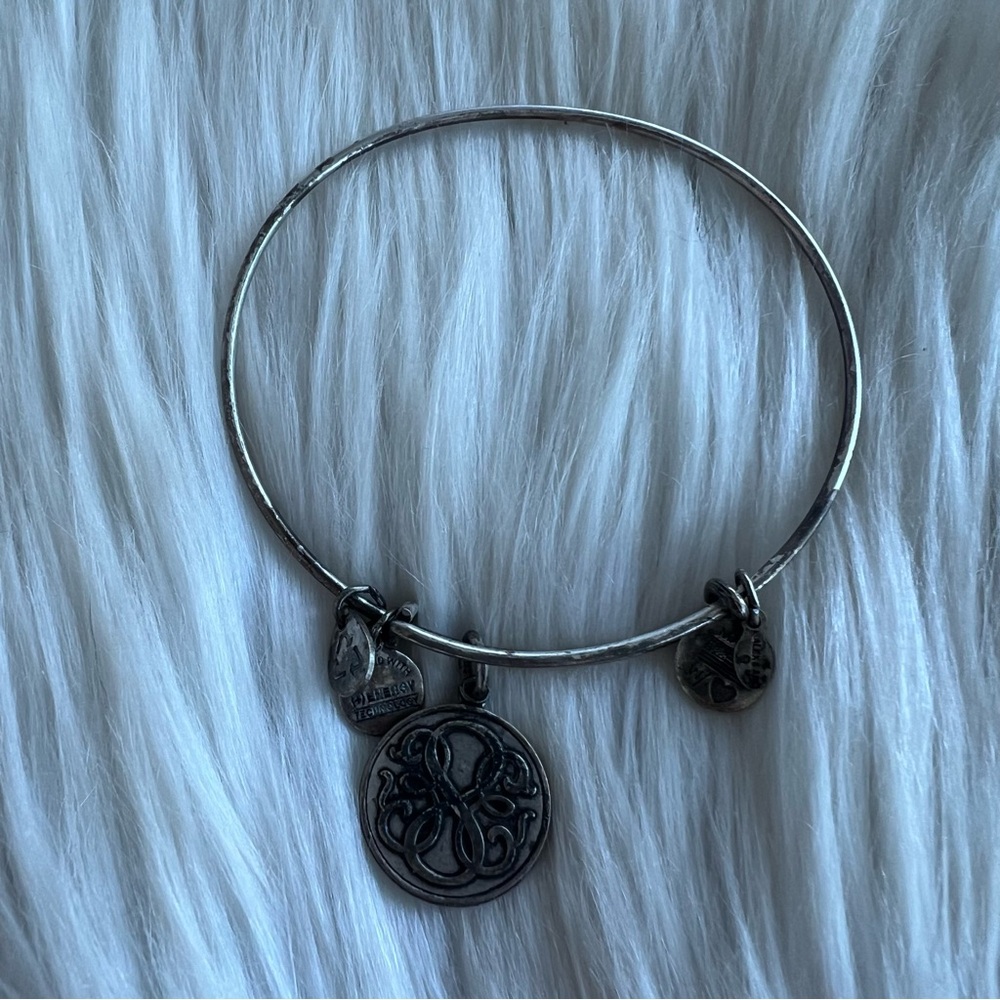 Alex and Ani Rafaelian Silver Path of Life Charm Bangle Bracelet - Picture 1 of 2